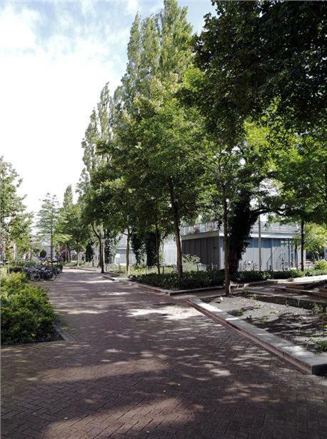 Ecofriendly Room Close To Center Amsterdam Extérieur photo